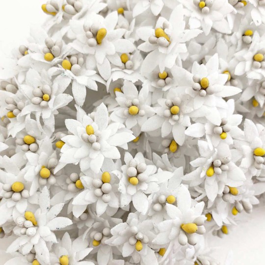 12 Mini White Fabric Millinery Edelweiss ~ Austria ~ 3/4"